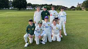 Image result for Ben Rhydding Cc