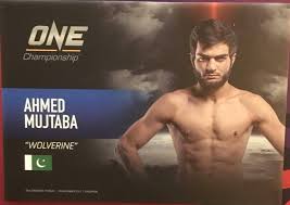 Image result for Wolverine MMA