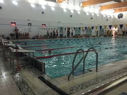 Image result for Tynedale Swimming Club