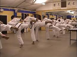 Image result for Tang Sou Dao Ren Yi Wu Kwan - Houghton & Wyton