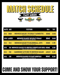 Image result for Cambridge Cats Basketball Club