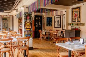 Attēlu rezultāti vaicājumam “Nola sp.”