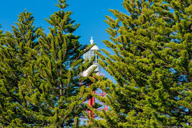 Image result for Kingston Bowling Club