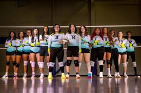 Image result for Bournside Volleyball Club