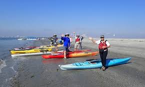 Image result for Seabrook Sea Anglers Association