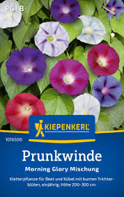 Image result for Prunkwinde