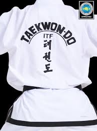 Image result for Dujon Tae Kwon Do