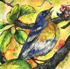 Image result for Parula americana