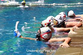 Image result for Underwater Hockey Ireland