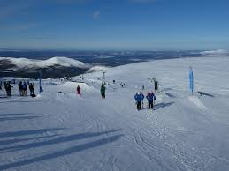 Image result for Cairngorm Snowboard Club