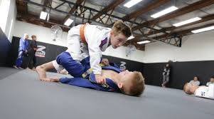 Image result for Derwent Jujitsu Academies