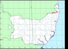 Attēlu rezultāti vaicājumam “Dicranella staphylina cells”