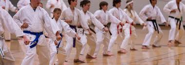Image result for Norfolk Karate
