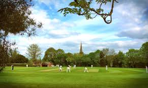 Image result for Milton Cricket Club