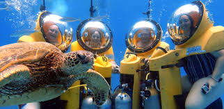 Image result for Underwater Adventures