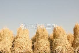 Image result for 붶