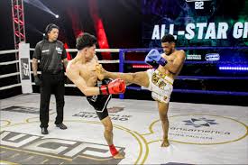 Image result for Allstars Kickboxing