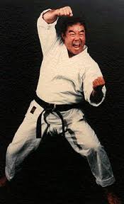 Image result for Masters of Martial Arts