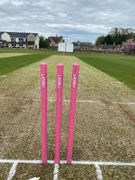 Image result for Corsham Cricket Club