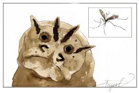 Attēlu rezultāti vaicājumam “Tipulidae larva”