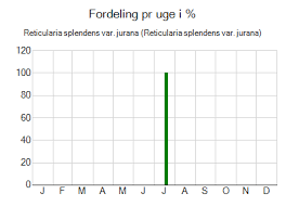 Attēlu rezultāti vaicājumam “Reticularia jurana”