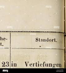 Attēlu rezultāti vaicājumam “Tragopogon heterospermus bud”