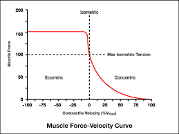 Image result for Velocity