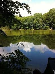 Image result for Bexleyheath and District Sea Angling Society