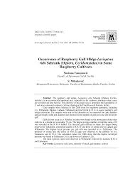 Attēlu rezultāti vaicājumam “Lasioptera rubi larva”