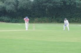 Image result for Redlynch and Hale Cricket Club