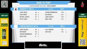 Image result for Pontblyddyn Cricket Club