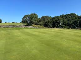 Image result for Bellingham Golf Club