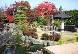 小羽　貝谷에 대한 이미지 검색결과