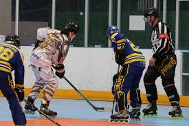 Image result for Llantwit Lions