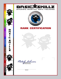 Image result for Skillz Martial Arts