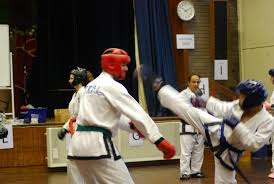 Image result for Absolute tae kwon do association