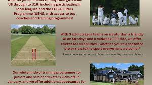 Image result for Salfords Cricket Club