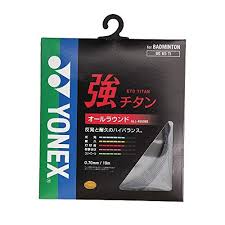 Image result for Strings Badminton Club