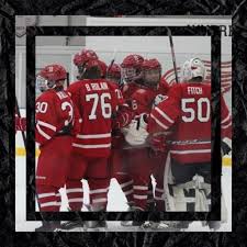 Image result for Brigg Hockey Club