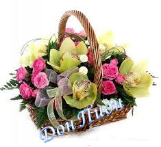 Картинки по запросу ...ЃРёРЅС‚РµР·Р°С‚РѕСЂ