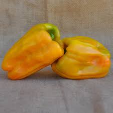 Afbeeldingsresultaat voor baby yellow sweet pepper