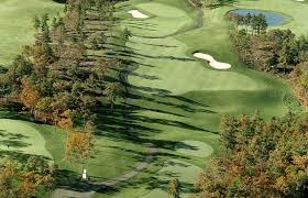 Image result for Plymouth Swallows Gc