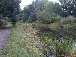 Image result for Addlestone Angling Society