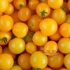 Afbeeldingsresultaat voor prudence purple tomato