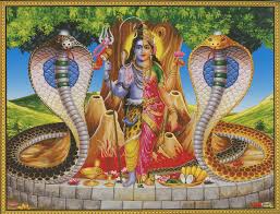 Kuvahaun tulos haulle nagas