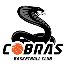 Image result for Epsom Rockets Basketball Club