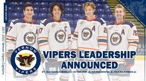 Image result for Vipers Roller Hockey Team