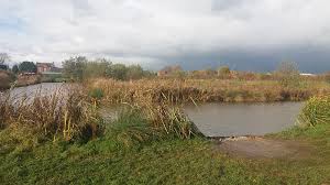 Image result for Dunham Massey Angling Club
