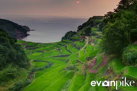 Image result for tanada