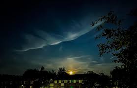 Attēlu rezultāti vaicājumam “Cirrus fibratus”